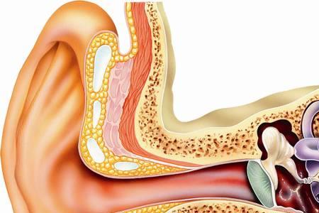 耳朵听声音有点刺耳，不正常