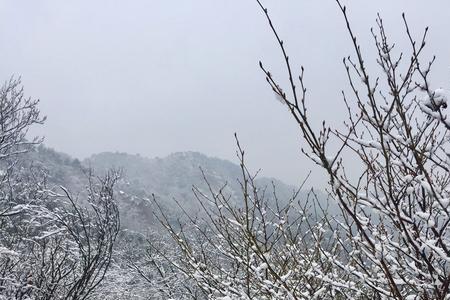 雪满山中歌词