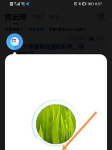 tt语音蹲单是什么意思