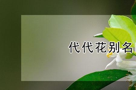 代代花是什么树开的花