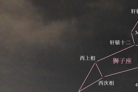 北斗七星天上悬指的什么生肖