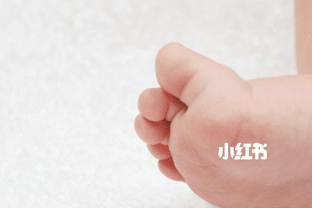 小宝宝为什么爱抓别人的脚