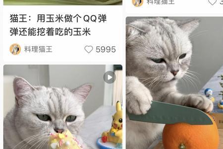 料理猫王是真的一个人做东西吗