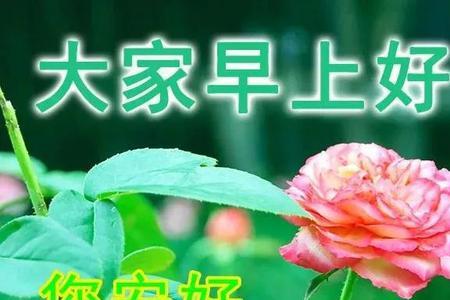 退休人早安问候语