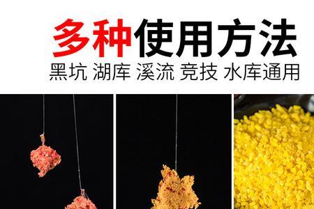 冬天打窝用什么窝料