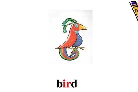 word和bird发音一样吗