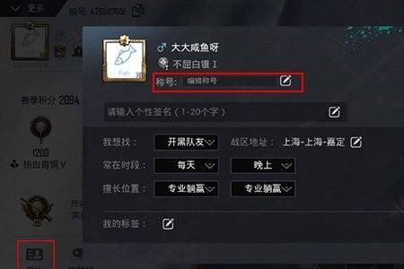 和平精英昵称如何复制代码