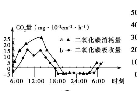 呼吸作用与温度的关系