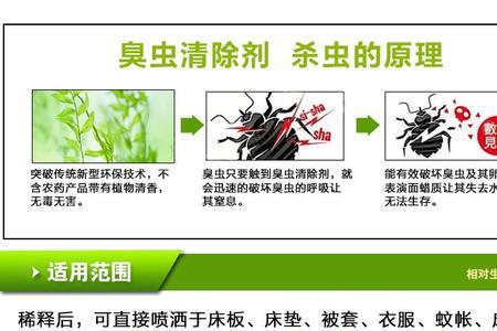 臭虫需要呼吸空气吗