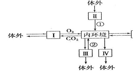 与组织进行物质交换有什么作用