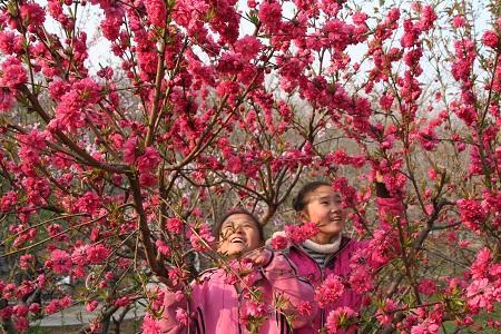 桃花岛出师条件