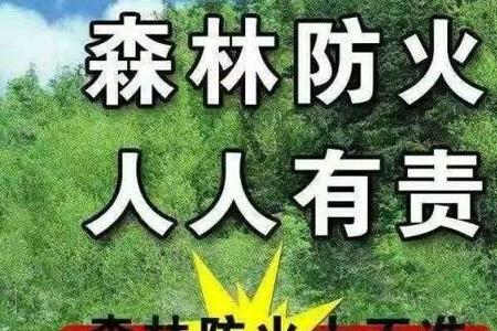 什么森林四个字