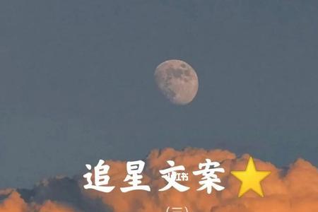 与追星逐梦相近的词语