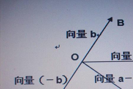 有分量和有份量区别