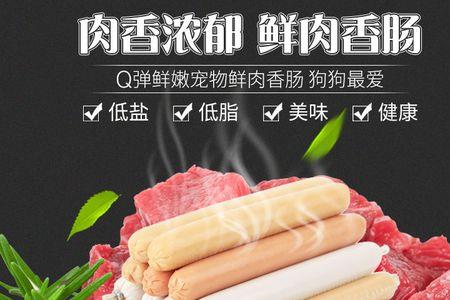 贵宾犬可以吃腊肠吗