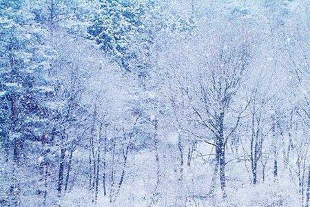 雪花从高空落下来需要多久