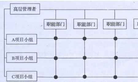 直线领导是什么意思