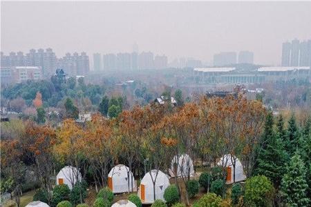 绿泡泡基地是什么意思