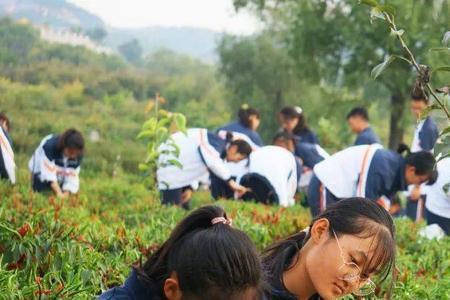 中小学生劳动实践基地经费谁出