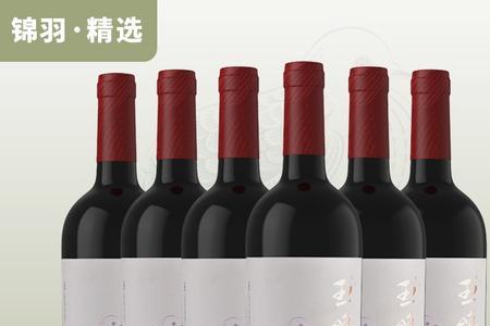 贺兰山哪款酒最好