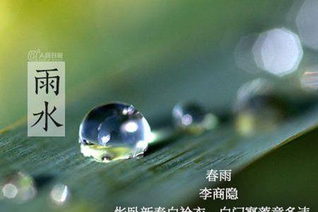 心雨这个的意思