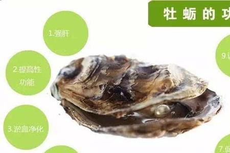 海蛎子暗指什么