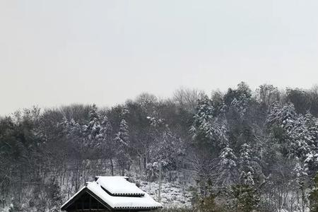 夜宿梨树湾樱子是什么人