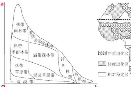 阴坡比阳坡的植被丰富的原因