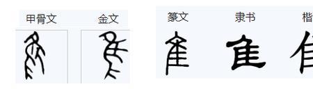 “隹”字旁的字，这些字都与鸟有关吗