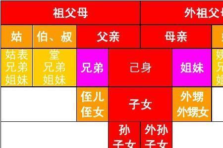 我和表舅属于几代旁系血亲