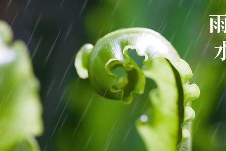 雷声温柔暴雨无声是什么意思