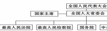 国家和组织有什么区别