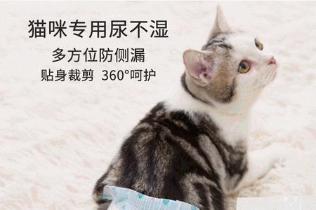 猫尿垫可以用成人代替吗