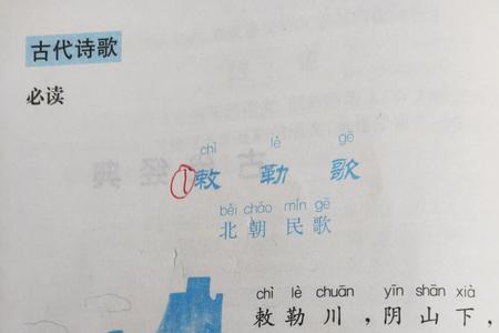 他们和它们是什么词