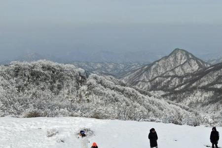 雪地画图片