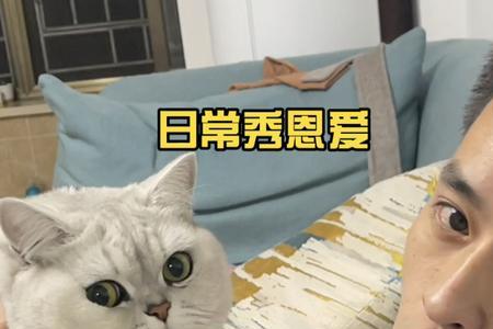 女生和你聊猫时怎么回复