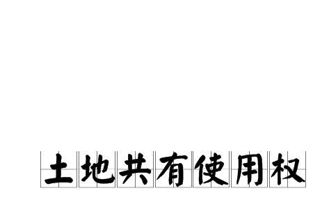 共同共有和共同拥有的区别