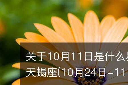 2015年11月15号出生是什么星座