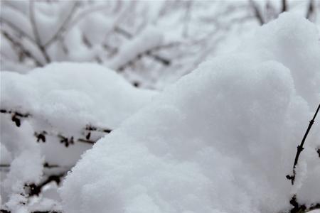 瑞雪迎春到下一句