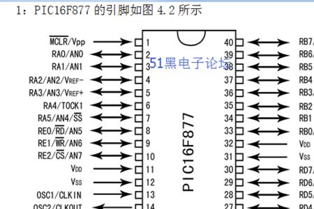 pic是什么意思中文