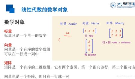 行向量是什么意思