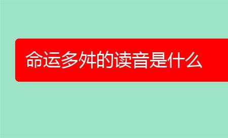 陡然读音是什么