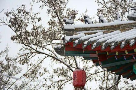 晚来天欲雪的爱情含义