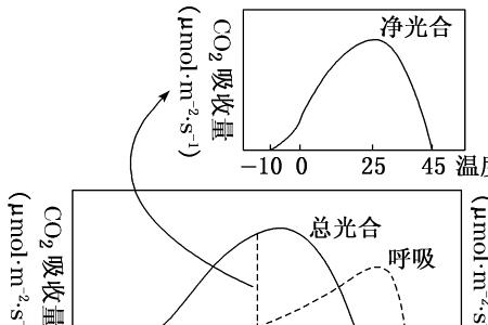 光合特性