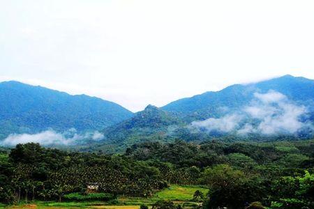 山乡野村意思