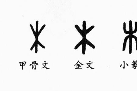 朱的象形字