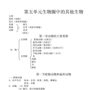 介绍一种树的提纲