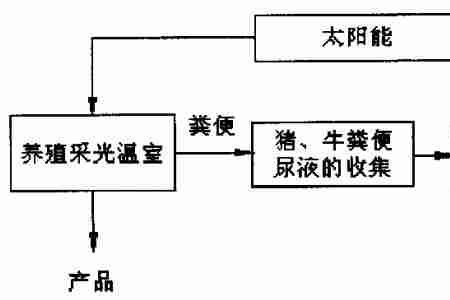 什么叫四位一体