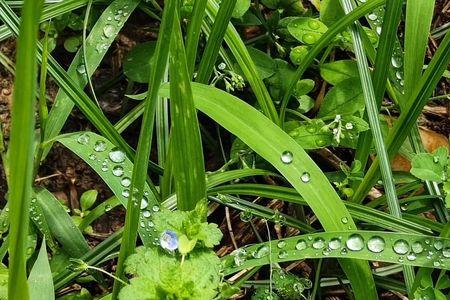 哪个字代表雨后的阳光