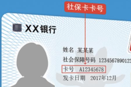 上海社保卡号怎么查询